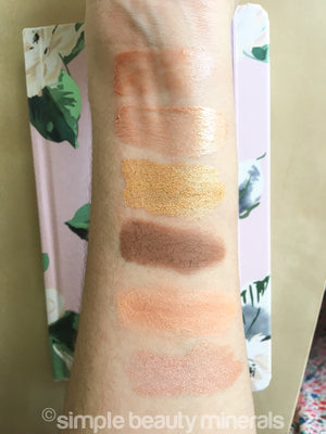 swatches of neutral eye and lip colors