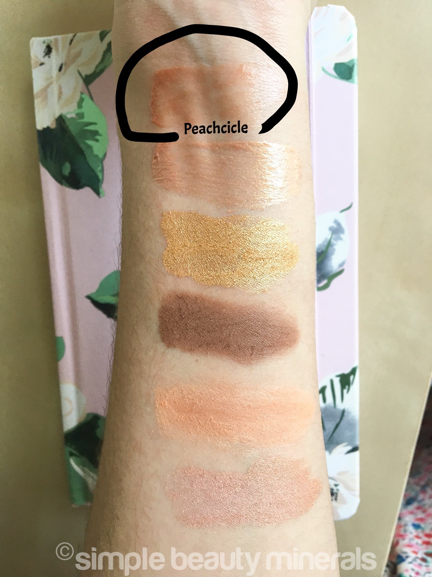 Simple Beauty Minerals - Peachcicle Mineral Organic LipGloss