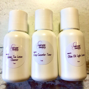 travel size bottles of cleanser, toner and lotion